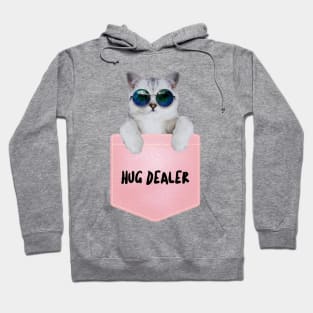 Cool Cat with Glasses Hoodie